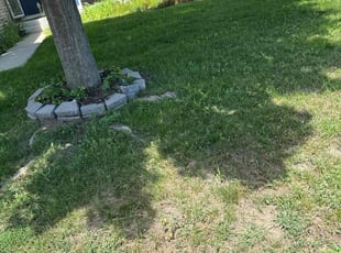 Weeding by Austin Chapman for Nafiso H. in Prior Lake, MN