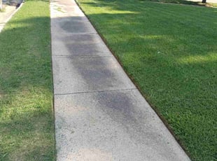 Kegan B.'s Lawn Care service result