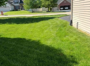 Micka M.'s Lawn Mowing service result