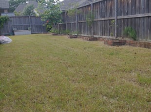 Weeding by Joseph Meshell for Kim G. in Spring, TX