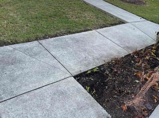 Leaf Removal by Shawn Gilbert for Mike S. in Dayton, OH