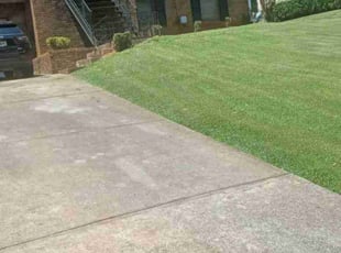 Bush Trimming by Tyry Crawford for April . in Decatur, GA