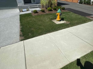 Barbara Z.'s Lawn Mowing service result