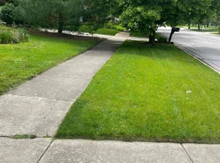 Bob s.'s Lawn Mowing service result