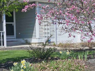 Gena A.'s Lawn Mowing service result