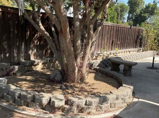Weeding by Andrea Villalpando for Kelli C. in Riverside, CA