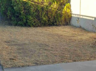 Cleanups by Marvin Gray for Susan M. in Glendale, AZ