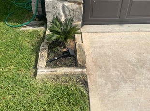Weeding by Warren Carter for Dwanyell H. in Conroe, TX