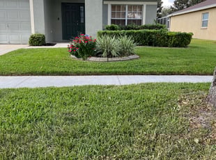 KayLee B.'s Lawn Maintenance service result