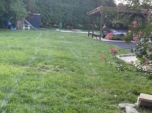 Jessica S.'s Lawn Maintenance service result