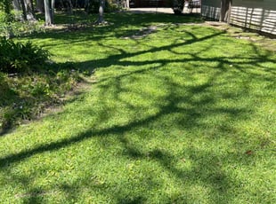 Wendell P.'s Lawn Service service result