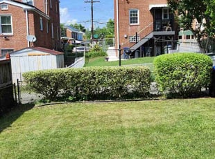 Bush Trimming by Jose Gonzalez for R. F. in Washington, DC