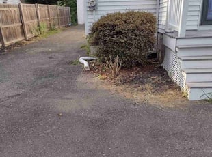 Cleanups by Matthew Spinelli for Celina J. in Stratford, CT