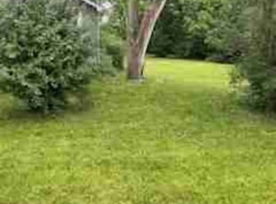 Phil B.'s Yard Cutting service result