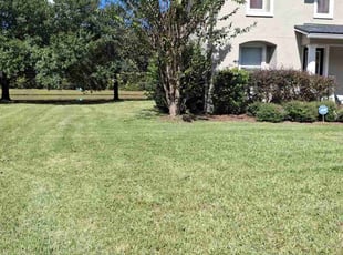 James L.'s Lawn Mowing Service service result