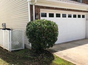 Bush Trimming by Caleb Beckstein for Bobby M. in Charlotte, NC