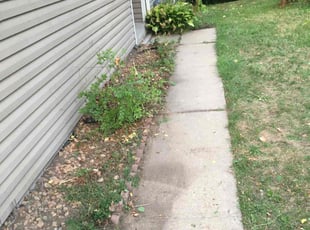 Bush Trimming by Jerry Agnew for Rayaun D. in Saint Paul, MN