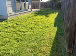 Christopher B.'s Lawn Mowing Service service result
