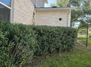 Bush Trimming by Steven Solis for Sophia P. in Leander, TX