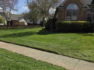 Stacy N.'s Yard Cutting service result