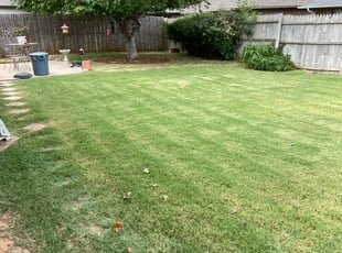 Bush Trimming by Steven Noblitt for Janet E. in Oklahoma City, OK