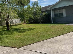 Sabrina S.'s Lawn Mowing service result