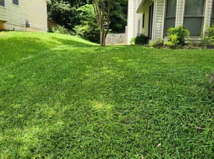 Mary B.'s Grass Cutting service result