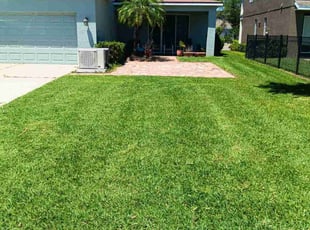 James M.'s Lawn Service service result