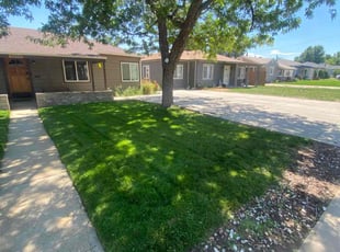 Suzanne Z.'s Lawn Mowing service result