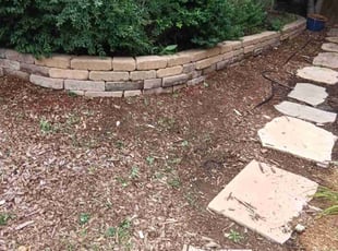 Weeding by Tom Davis for Laura B. in Denver, CO