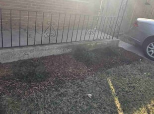 Mulching by Dominique Brittman for Elise P. in Chicago, IL