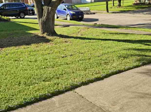 Farhan M.'s Yard Cutting service result