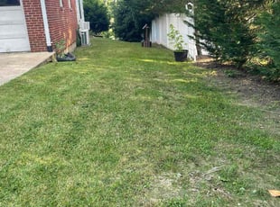 Sharon C.'s Lawn Maintenance service result