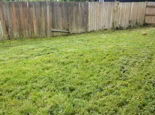 Cleanups by Robert Mcdermaid for David L. in Des Moines, WA