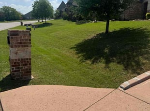FeLicia F.'s Grass Cutting service result