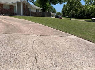 Anneta D.'s Grass Cutting service result