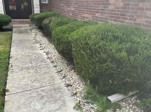 Bush Trimming by Brian Sky for Gladys A. in San Antonio, TX