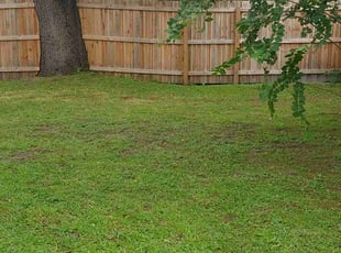James W.'s Lawn Care service result