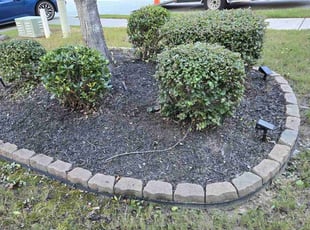 Bush Trimming by Kevin walker for Otega E. in Atlanta, GA