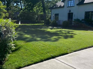 Renee E.'s Grass Cutting service result