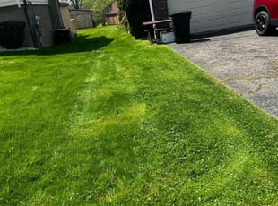 Diane J.'s Lawn Service service result