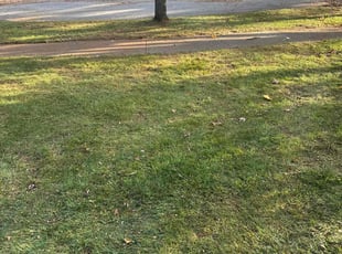 Leaf Removal by Ryan Cooper for Amanda L. in Kentwood, MI
