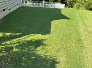 Georgia B.'s Grass Cutting service result