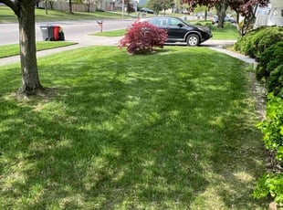 Patricia C.'s Grass Cutting service result