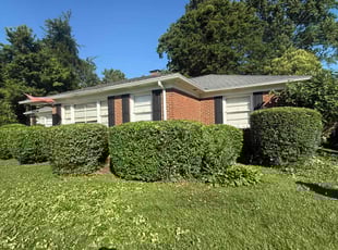 Bush Trimming by Jose Ordonez for Logan M. in Charlotte, NC