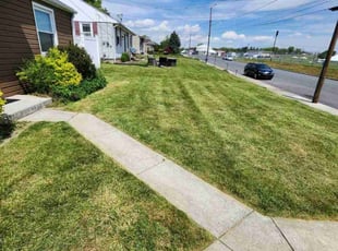 Michelle C.'s Lawn Service service result