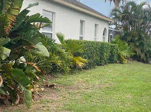 Bush Trimming by Josh Larew for Natalie C. in Orlando, FL