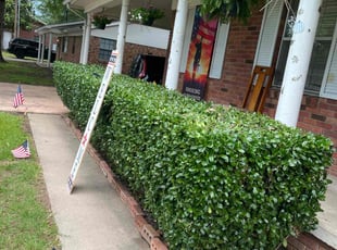 Bush Trimming by Jessie Vernon for Dan A. in North Little Rock, AR