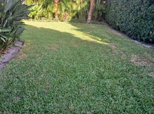 Weeding by Robert Hernandez for Peter L. in West Palm Beach, FL