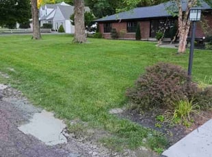 Wendy B.'s Lawn Maintenance service result